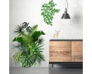 Tropical Leaves, Branches and Deer wall decals 